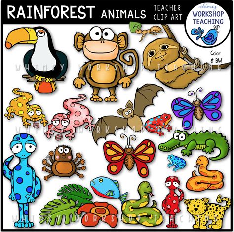 Rainforest Animals Clip Art Free Printable Tropical Papeles Digitales