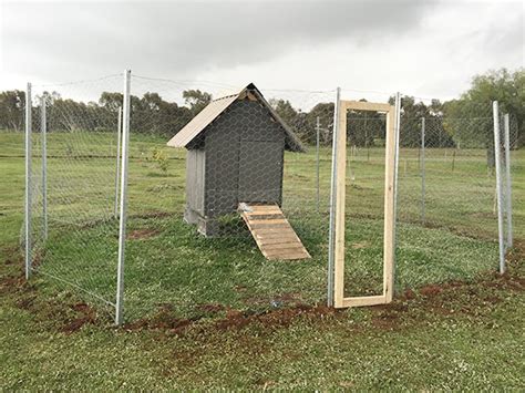 The difference between judy's plan and pallet palace is that judy disassembled it first before using the pallet for materials. 10 Free Pallet Chicken Coop Plans You Can Build in a ...