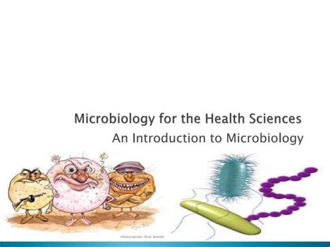Clinical Bacteriology Clinical Microbiology Microbiology Laborator