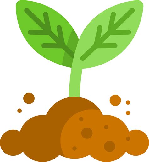 Growing Plant Png