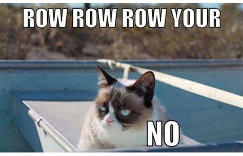 31 Great Grumpy Cat Memes That Will Make You Less Grumpy