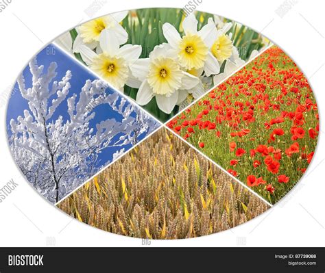 Four Seasons Circle Image And Photo Free Trial Bigstock