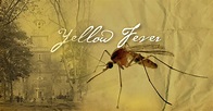 Yellow Fever Epidemic of 1793: 'All was not right in our city' — WHYY