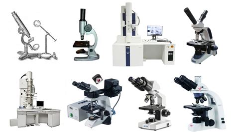Types Of Microscopes With Their Applications