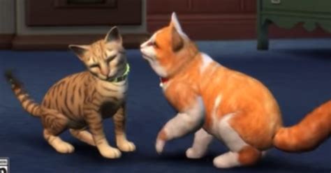‘the Sims 4 ‘cats And Dogs Brindleton Bay World Teased In New Teaser