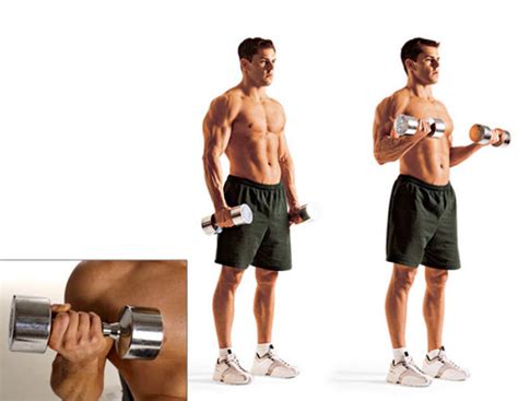 Frugal Finance Free Home Biceps Triceps And Forearms Dumbbell Workout