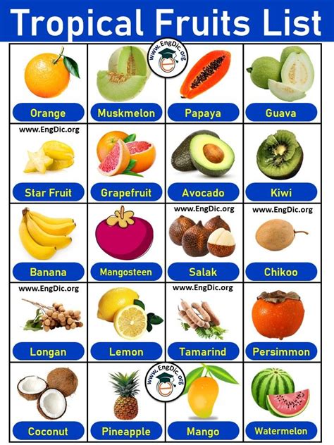 List Of Tropical Fruits In English With Pictures Pdf Fruit List