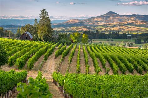 Oregons Rogue Valley Ava Wine Country The Written Palette