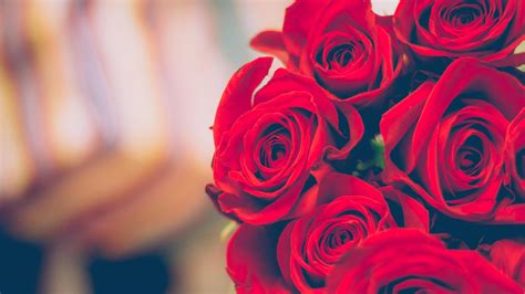 Valentine S Day Flowers With Same Day Delivery Are Available If You Hurry Techradar
