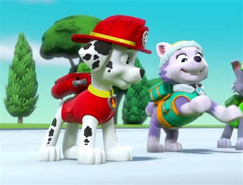 Marshall And Everest Paw Patrol Animated Couples Photo 40130992