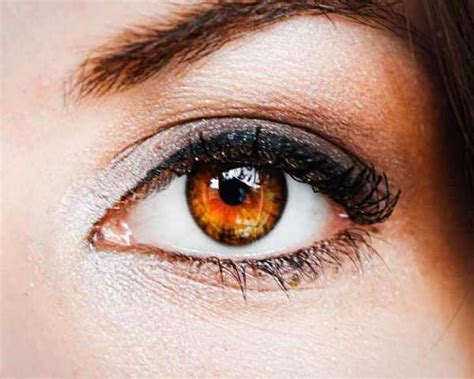 Makeup Tips For Brown Eyes Eye Makeup For Brown Eyes