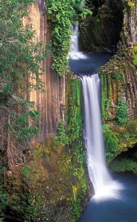 An Ancient Waterfall Hidden In The Oregon Woods Need To Put This On