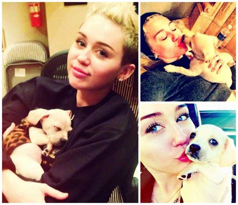 Celebs Who Love Their Pets Miley Cyrus Pets Love Pet Furry Friend