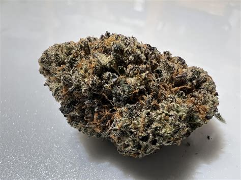 1st Rise pickup : r/MNtrees