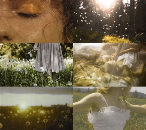 A Collage Of Photos With The Sun Shining Through Trees And Flowers In