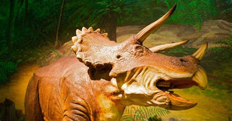 What We Learned Today How To Eat A Triceratops Wired