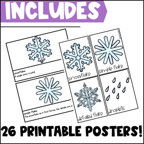 Life Cycle Of A Snowflake Activities Worksheets Booklet Snowflake