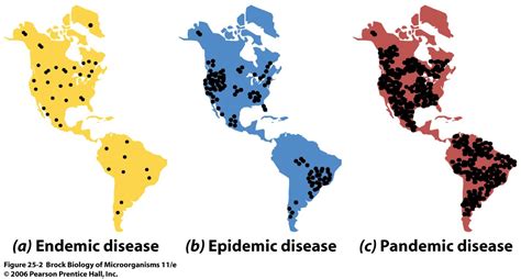 Endemic Epidemic Pandemic Whats The Difference