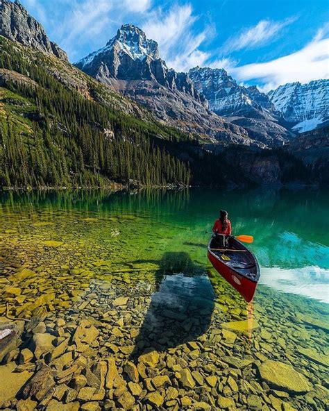 🔥 A Crystal Clear Water Of Lake Ohara Yoho National Park Canada 🔥