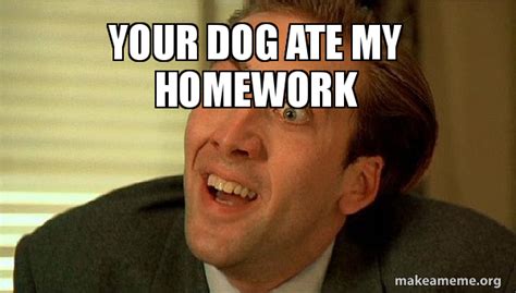 Dog Ate Homework Meme All About Home