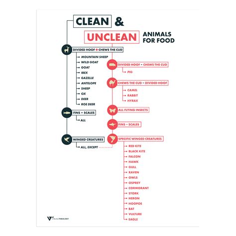 Clean And Unclean Animals For Food Visual Theology
