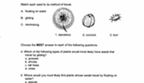 how seeds travel worksheets