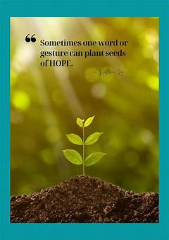 Sunday Growth Plant The Seeds Of Wisdom With Inspiring Gifs