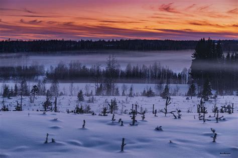 Lapland Sweden: Sweden's Winter Paradise - The Five Foot Traveler