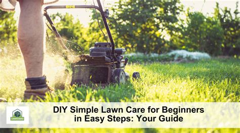 Diy Simple Lawn Care For Beginners In Easy Steps Your Guide Lawn Serv