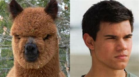 10 Celebrities You Cant Deny Look Like Animals