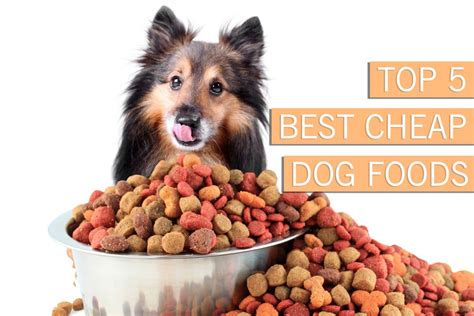 Top 5 Best Cheap Dog Foods Buyers Guide For 2021