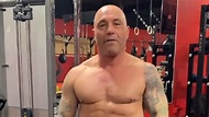 UFC, news: Joe Rogan weight loss, fat shamed, carnivore diet, Instagram ...