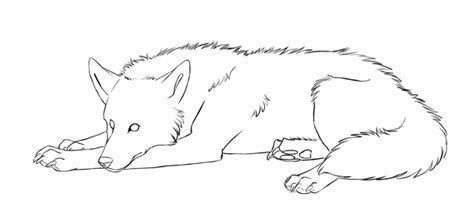 Step By Step Wolf Drawing At Getdrawings Free Download