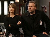 Law & Order: Criminal Intent from TV Shows That Returned on Different ...