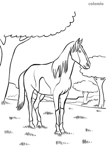 Horses Coloring Pages Free And Printable Horse Coloring Sheets Page 3