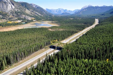 Banff National Park Conservation Corridor