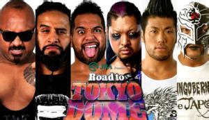 Click Here To Join S Live Njpw Road To The Tokyo Dome Coverage