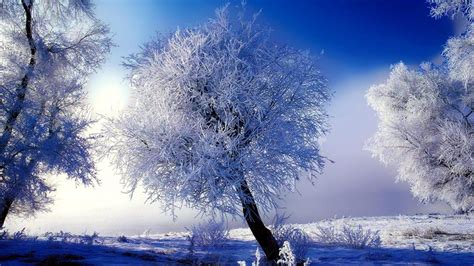 Winter Scene Backgrounds ·① Wallpapertag
