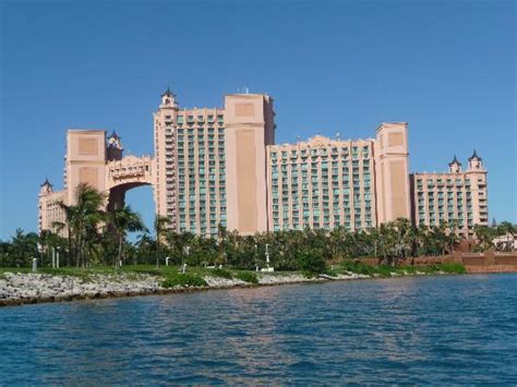 Water Slide Through Shark Pool Picture Of Atlantis Coral Towers