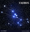 Symbol Taurus Zodiac Sign Royalty Free Vector Image