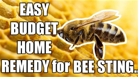 🐝mamsh Easy Budget Home Remedy For Bee Sting Tagalog V116 Youtube