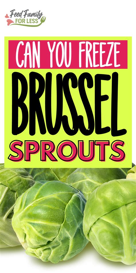 How To Freeze Brussel Sprouts Freezing Brussel Sprouts Brussel