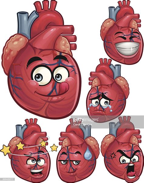 Human Heart Cartoon Set A High Res Vector Graphic Getty Images