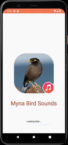 Download Mp3 Suara Burung