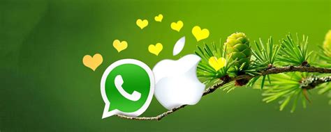 How To Install Whatsapp For Mac Os X What You Need To Know