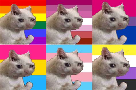 Crying Cat Pride Profile Pics Feel Free To Use Pics