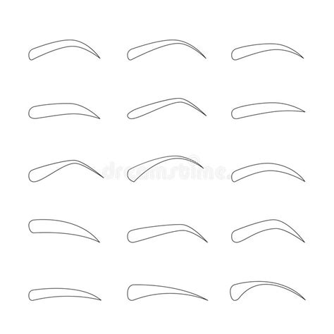 Set Of Outline Eyebrows In Different Shapes And Types Stock Vector