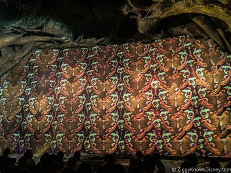 Best Animal Kingdom Rides & Attractions Guide | Full List & Must-Do