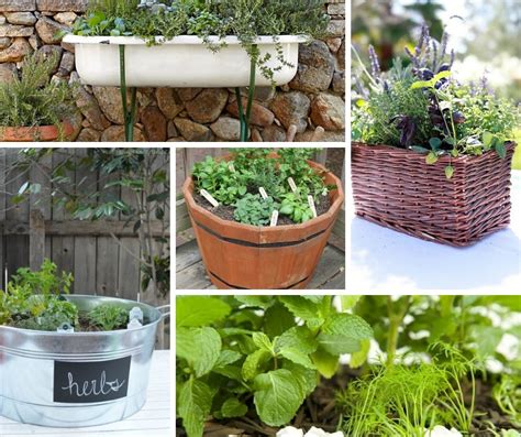 Growing Herbs In Small Spaces 31 Creative Herb Container Garden Ideas