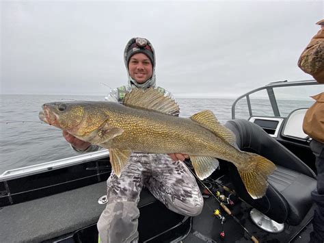 Walleye Fishing Green Bay Everything You Need To Know In 6 Minutes